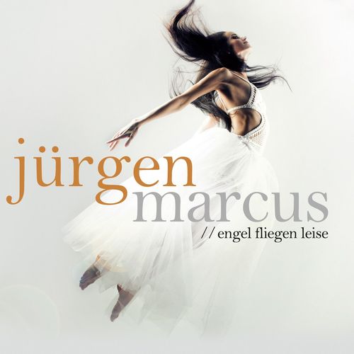 Cover: Engel fliegen leise