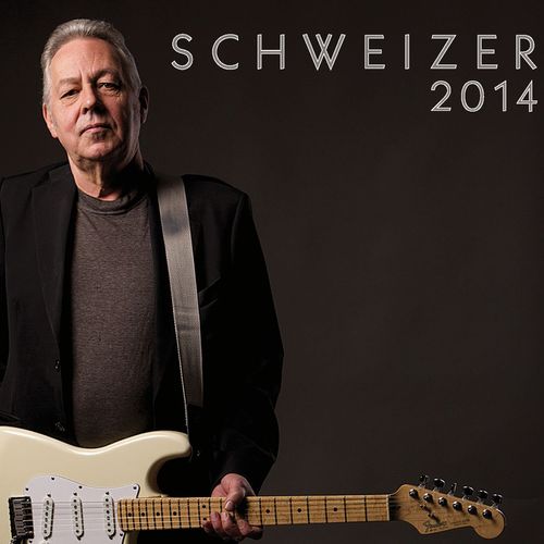Cover: Schweizer 2014
